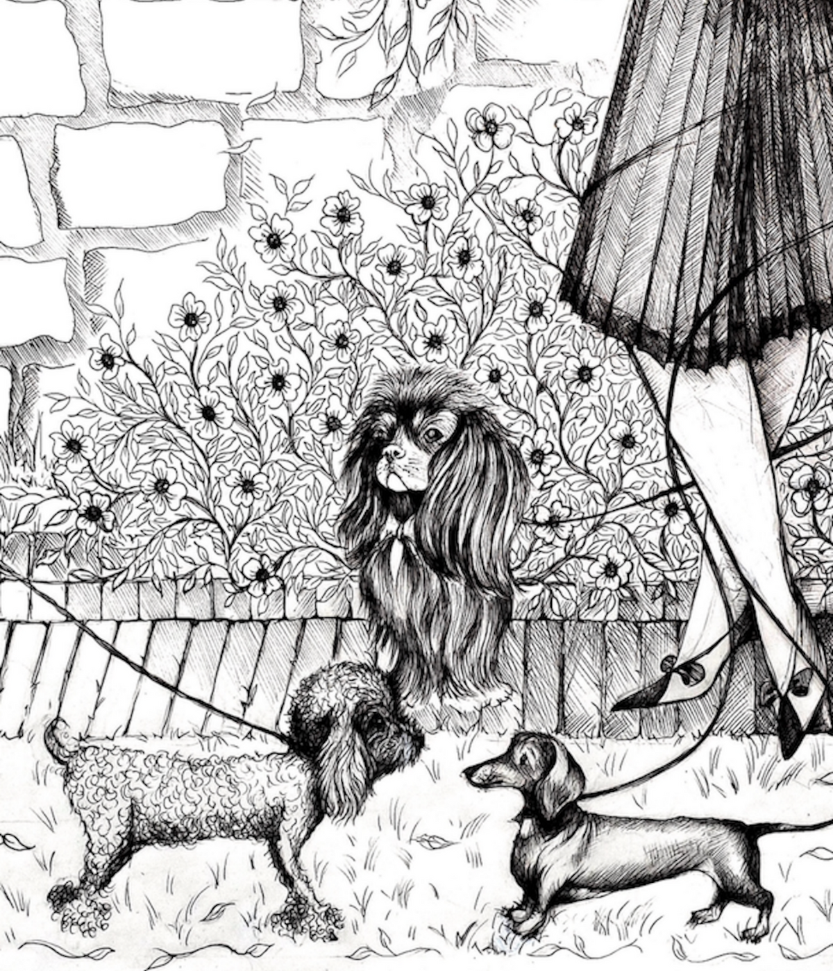 With 7 Dogs — Limited Edition
