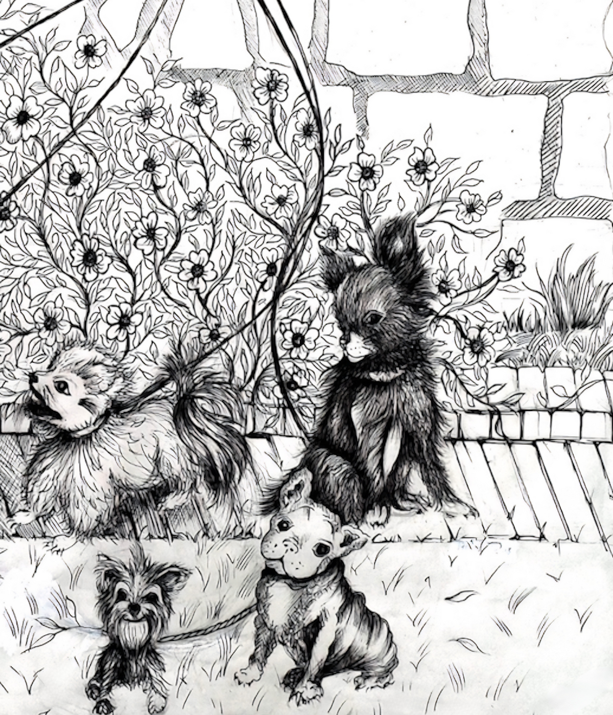 With 7 Dogs — Limited Edition